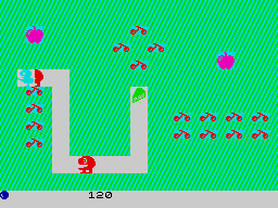 Click to enlarge